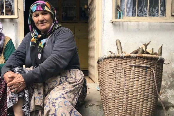 Lazların gönüllü asimilasyonu