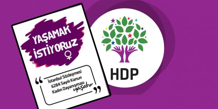 HDP ve İstanbul Sözleşmesi