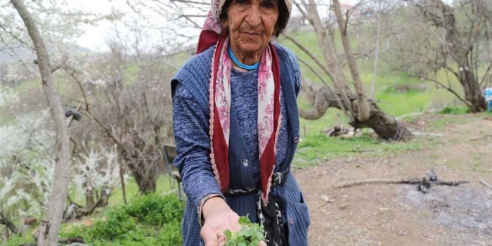 XARIK DERSIM