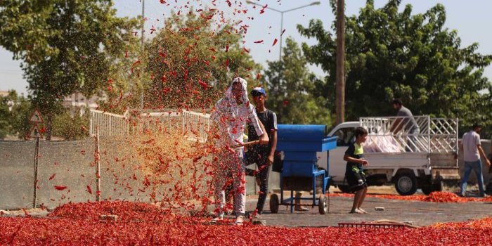 İsot kurutma alanı 