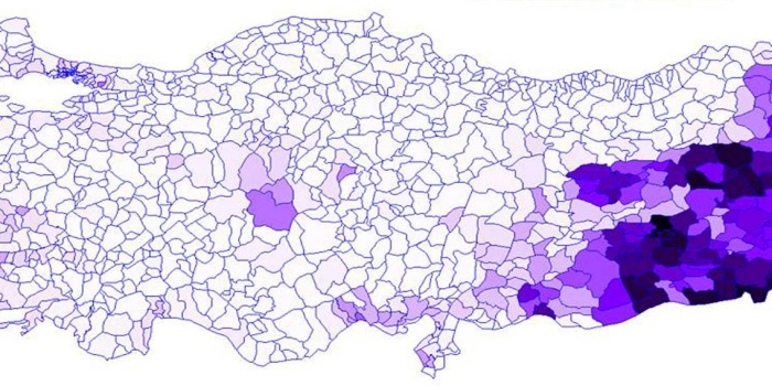 HDP oy oranları 