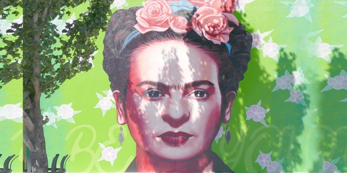 Frida Kahlo/wikipedia