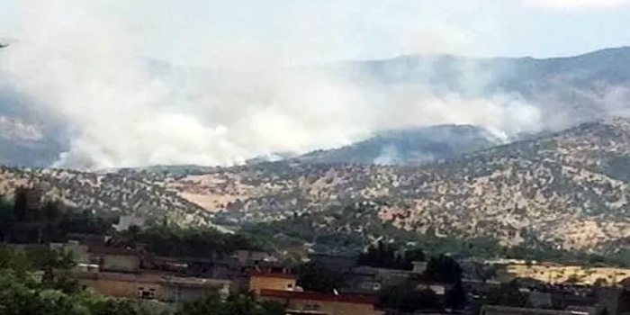 Federe Kürdistan Bölgesinde ormanlar yakılıyor