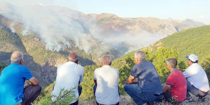 Ekolojik yıkım/Dersim
