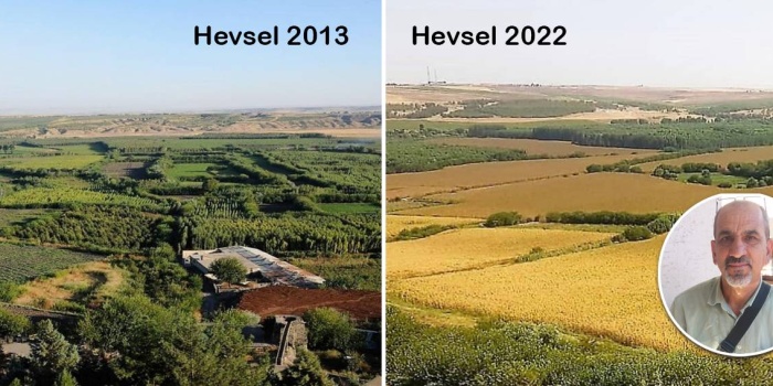 Hevsel 2013 - 2022