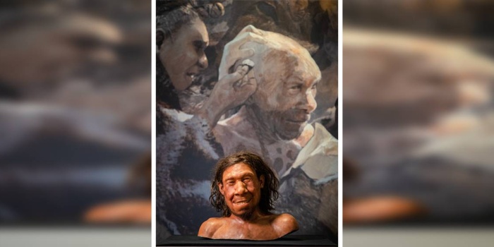 Eylül 2021'de çekilen bu fotoğraf, Leiden'deki Ulusal Eski Eserler Müzesi'nde sergilenen Krijn lakaplı Hollanda'da bulunan en eski Neandertalin yüzünün yeniden yapılanmasını gösteriyor. Foto: Bart Maat/ANP/AFP