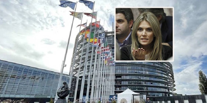  Avrupa Parlamentosu (AP) milletvekilleri