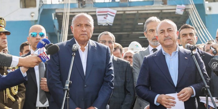 Mısır Dışişleri Bakanı Sami Şukri,  Türk Dışişleri Bakanı Mevlüt Çavuşoğlu
