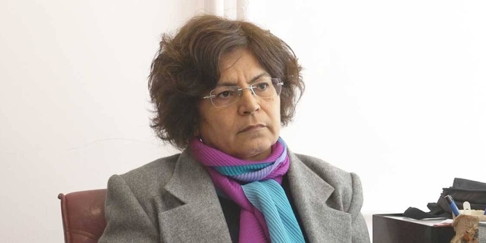 İHD Hapishaneler Komisyonu Eşsözcüsü Nuray Çevirmen