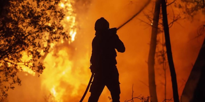 İspanya'da orman yangınları