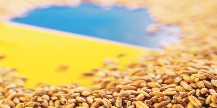 Ukrayna'dan buğday sevkiyatı