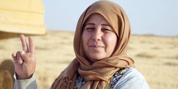 Mewlîde Beşîr Ehmed