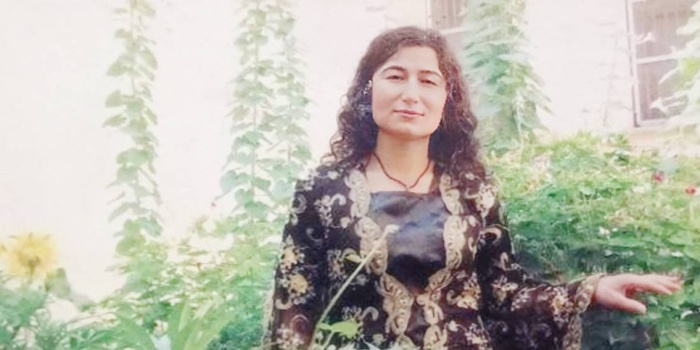 Hazine Alçı