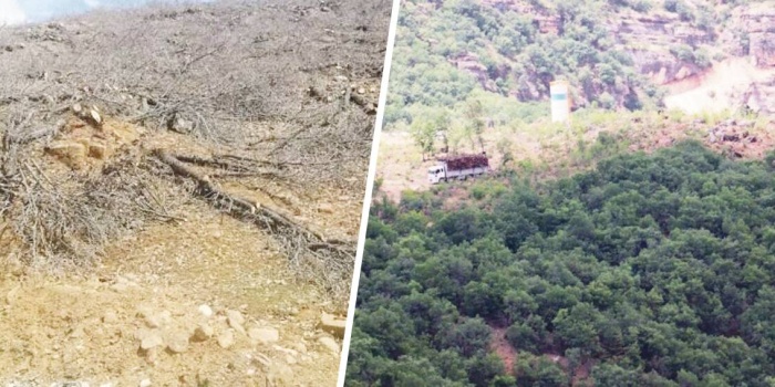 Amed'de ekolojik kıyım