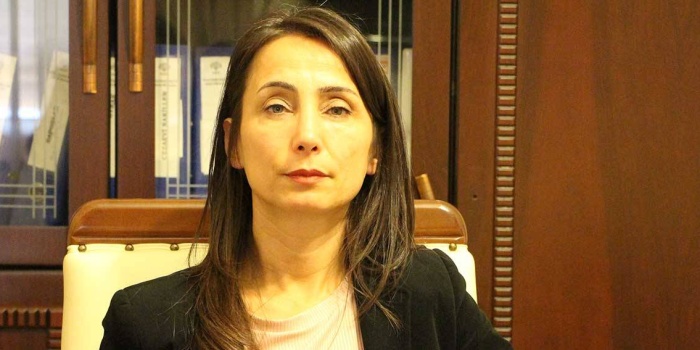 Yeşil Sol Parti Adana Milletvekili Tülay Hatimoğulları