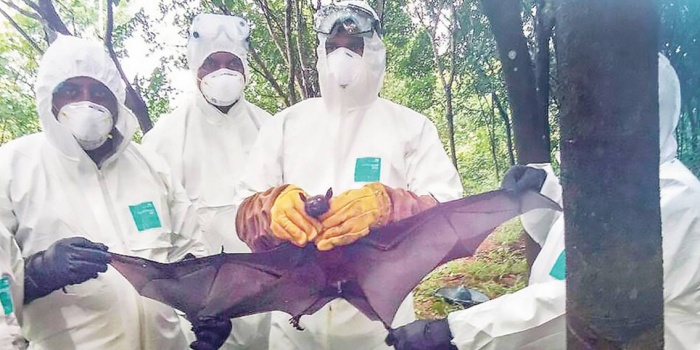 Sağlık ekipleri virüsün kaynağını tespit etti