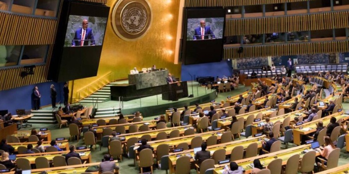 Birleşmiş Milletler (BM) Genel Kurulu