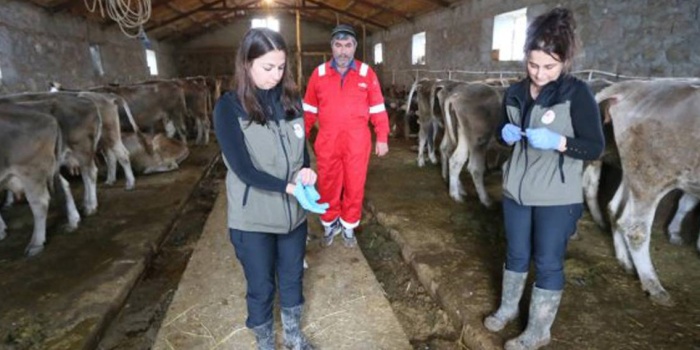 Elif Ekiz ve Alev Tazegül