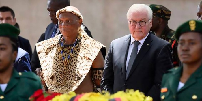 Almanya Cumhurbaşkanı Frank-Walter Steinmeier, Tanzanya'da