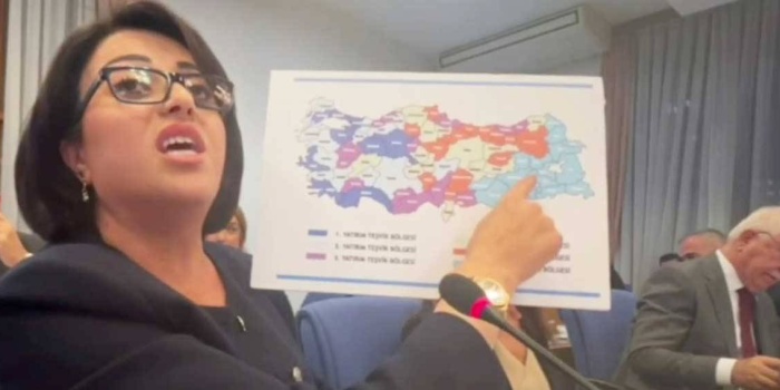 HEDEP Colemêrg Milletvekili Öznur Bartın