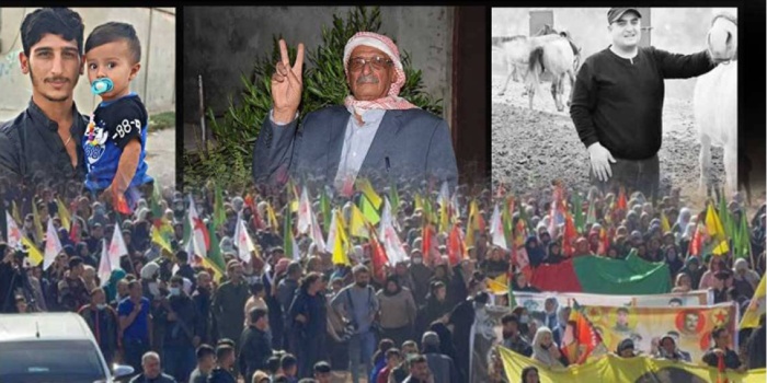 Gulo ve Şibli aileleri