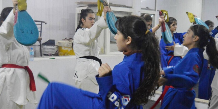 Roj Kadın Takımı, tekvando eğitimi