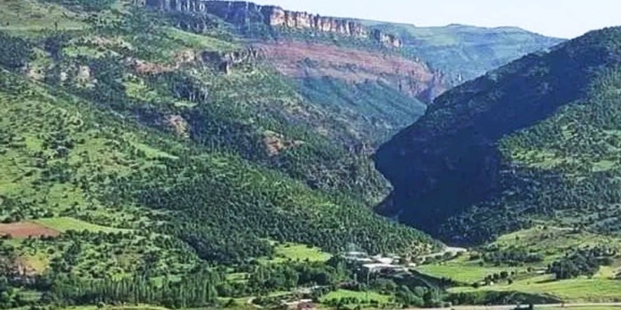 Zorî Vadisi