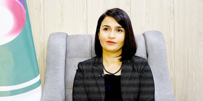 Evin Paşa