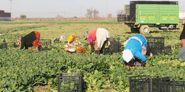 Mevsimlik işçiler