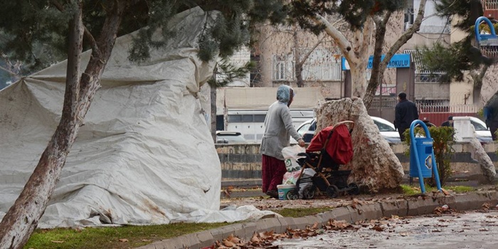 Amed deprem/Foto:MA