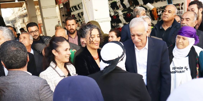 Ahmet Türk, Devrim Demir