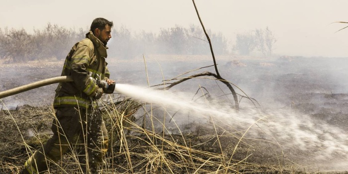 Reqa orman yangını / Foto:AFP