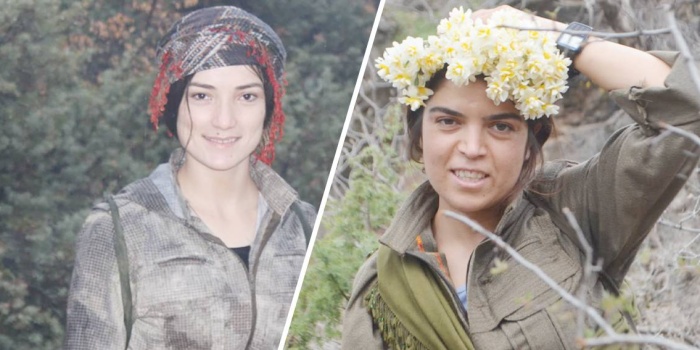 Zîn Zagros ve Ararat Herekol