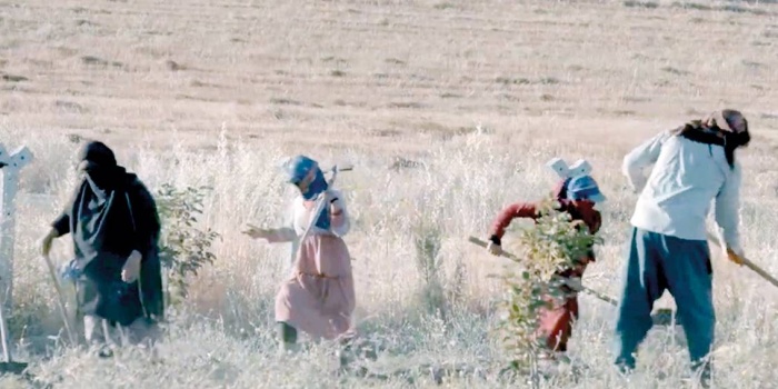 Jiyan Projesi
