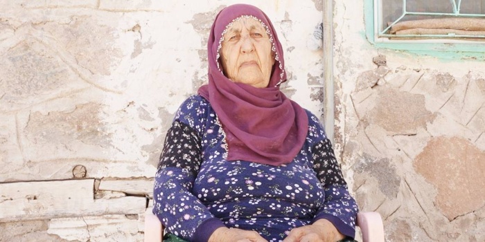 Pule Demir