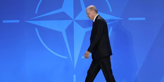 Erdoğan ve NATO