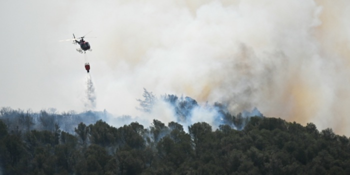 Fransa yangın / foto:AFP