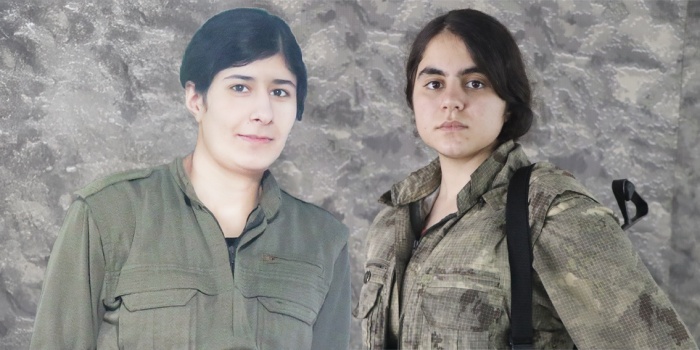 Arîn Qoser ve Tolhildan Nûman