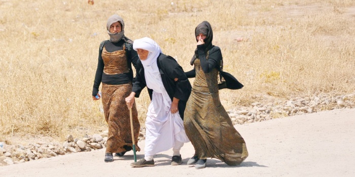 Şengal Êzîdî Fermanı