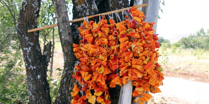 kış hazırlıkları