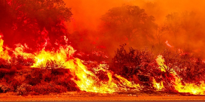 İklim krizi / foto:AFP