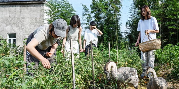Çin'de kadınlar ortak yaşam mekanları/foto:AFP