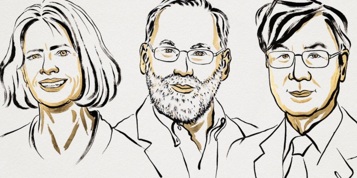 Mary Brunkow, Fred Ramsdell ve Shimon Sakaguchi