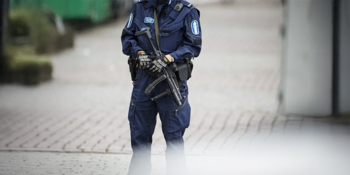 Finlandiya gözaltı