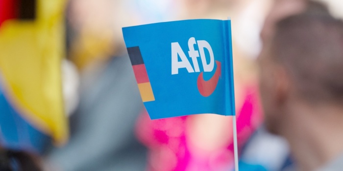 AfD / foto:AFP