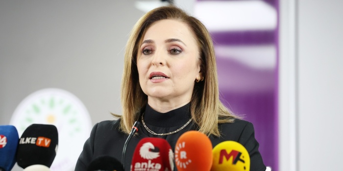 Ayşegül Doğan