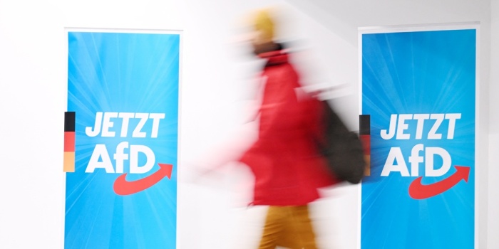 AfD / foto:AFP