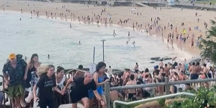 Bondi Katliamı/foto:AFP