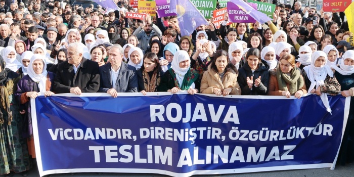 Rojava eylem