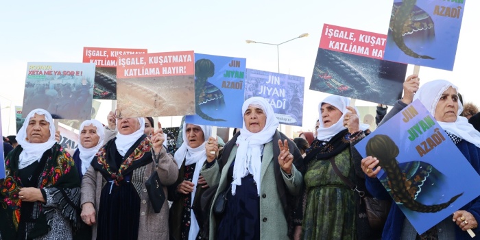 Rojava için eylem, Nisêbîn